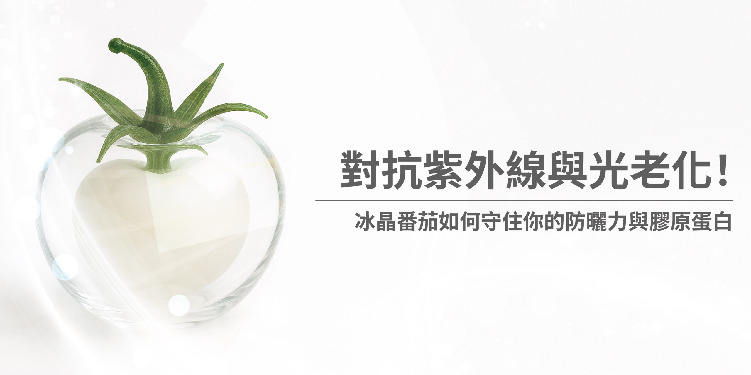 就算天天擦防曬，肌膚還是會暗沉、粗糙、失去彈性？這可能是光老化在悄悄加速，讓膠原蛋白流失、老化提前發生。 冰晶番茄富含無色類胡蘿蔔素，能從體內啟動防禦，撐起一把「看不見的防曬傘」，內外同步抗老，守住膠原與彈性。