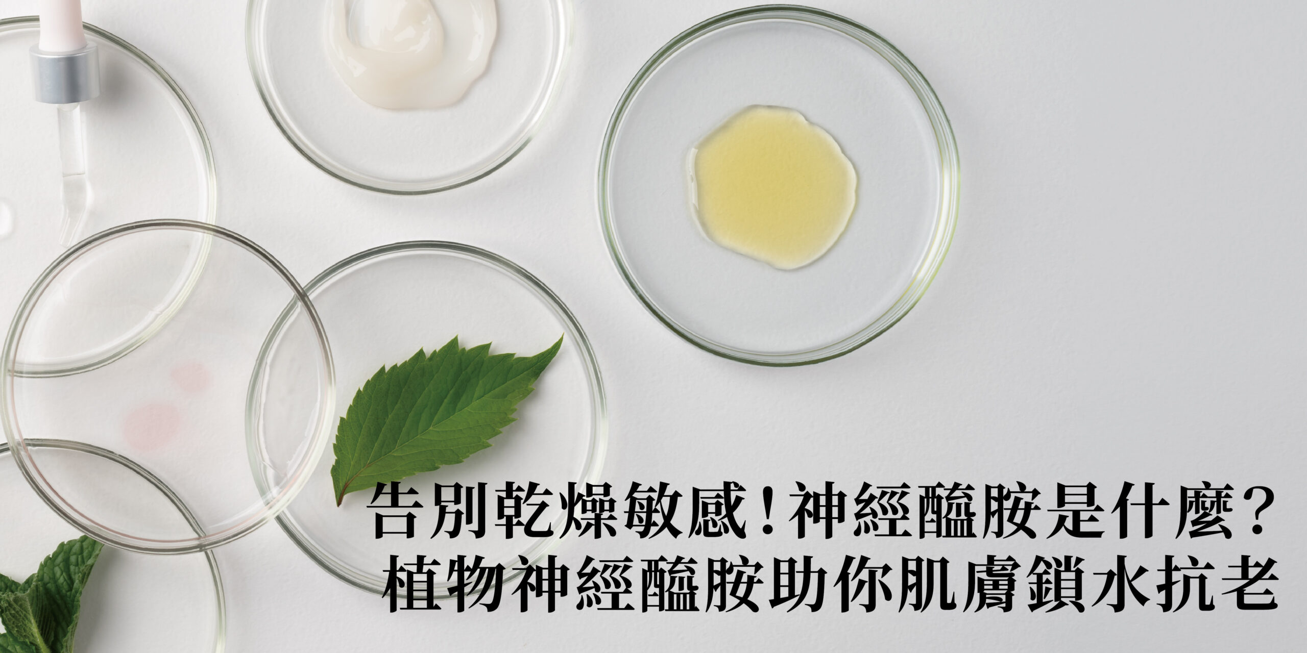 你是否也有肌膚乾燥、脫皮、泛紅等困擾？明明保濕、修復產品用了不少，卻總覺得效果不彰？ 這很可能不是簡單的缺水，而是肌膚屏障的神經醯胺出了狀況。 想知道神經醯胺是什麼？它為何是肌膚保濕抗老的鎖水關鍵？本文將帶你深入了解，並探討植物神經醯胺的獨特功效。