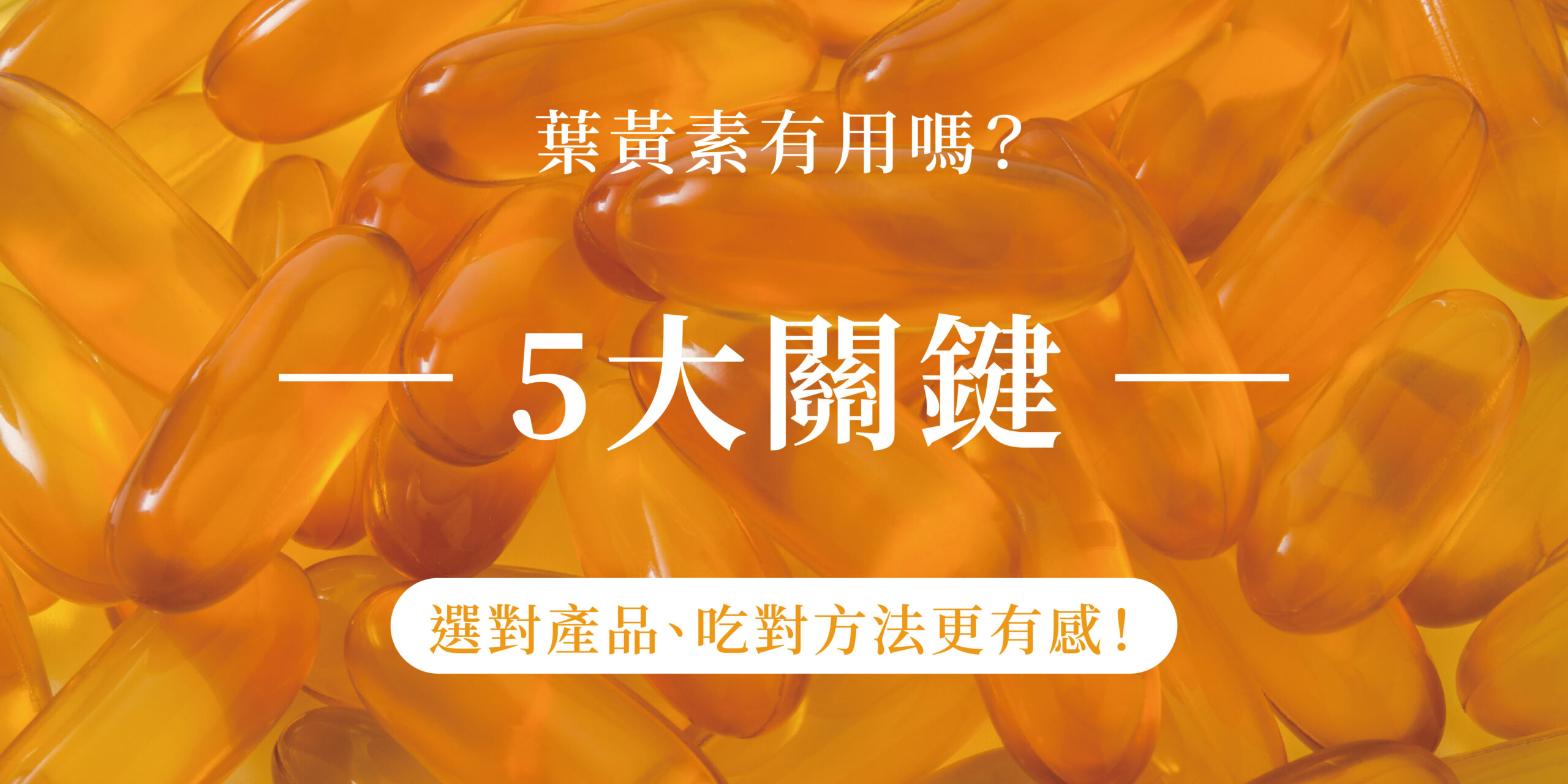 葉黃素有用嗎？五大關鍵告訴你！