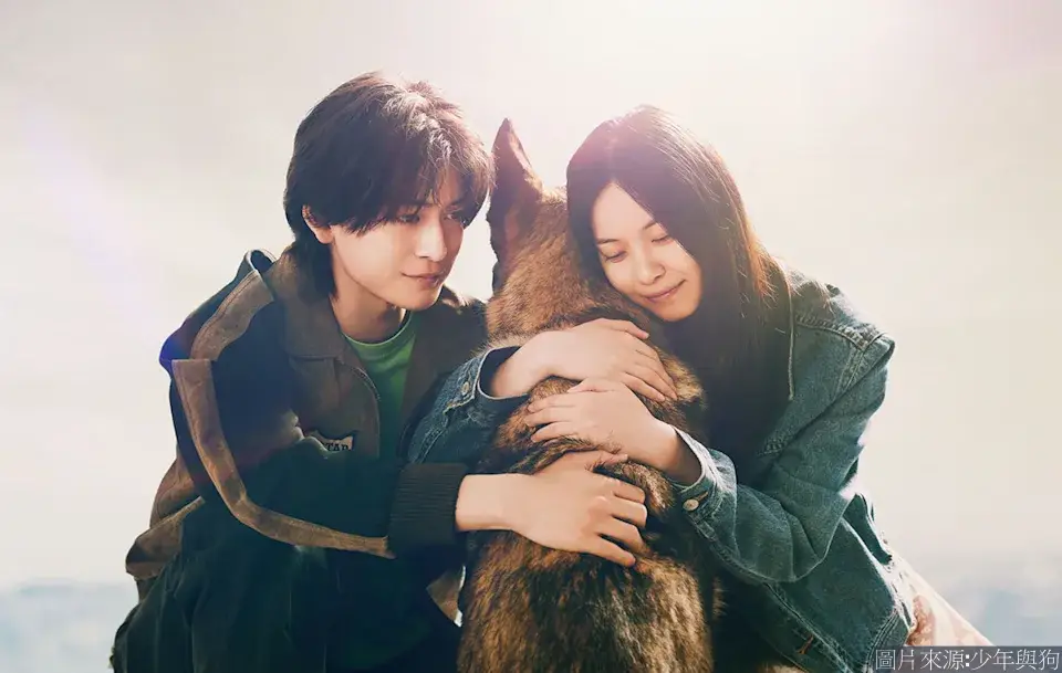 《少年與狗》在狗狗的引領下，讓男女主角兩人共同面對各自傷痛，並漸漸走向彼此的，呈現溫暖和溫馨的氛圍。