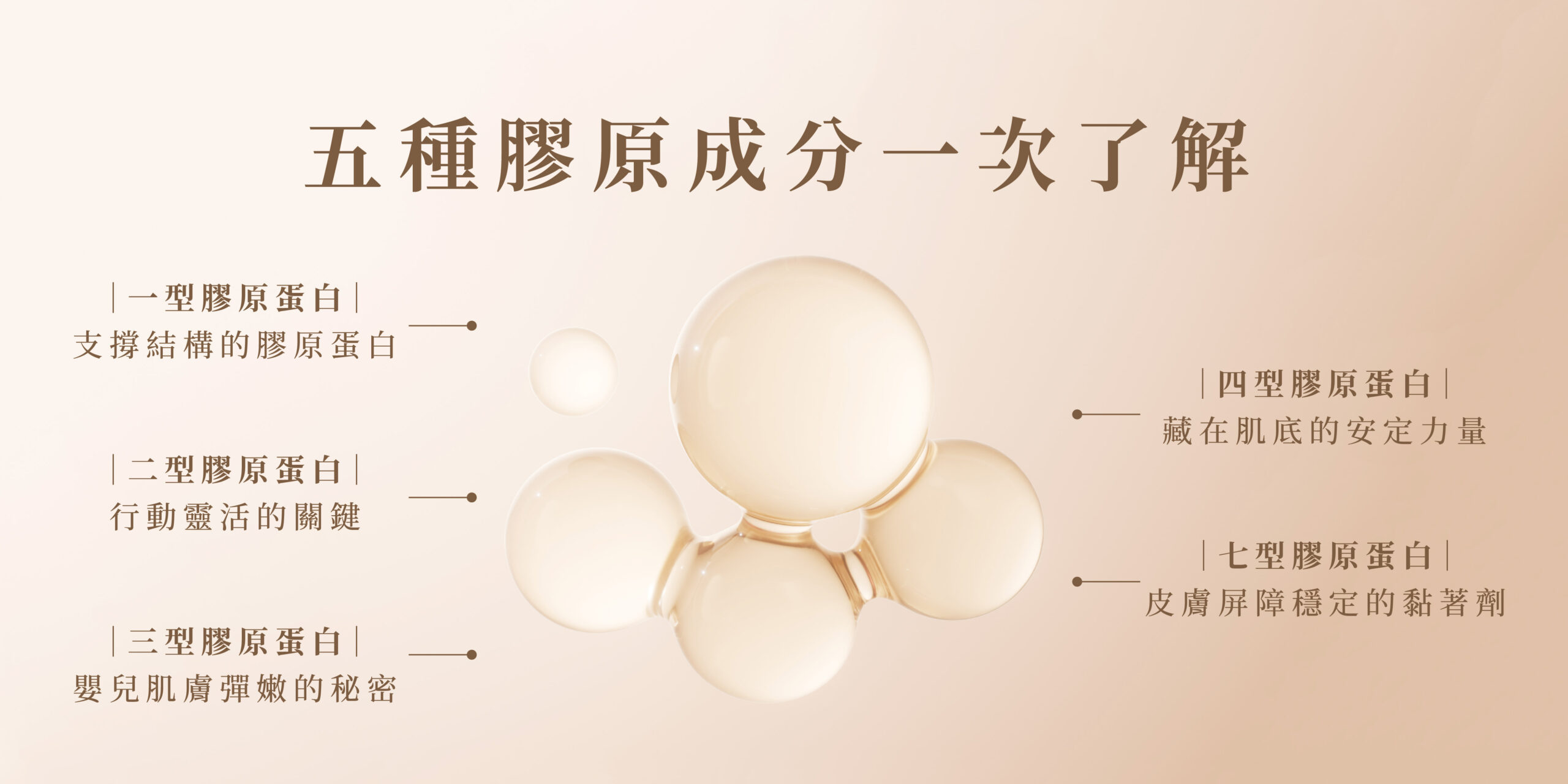 五種膠原蛋白成分一次了解