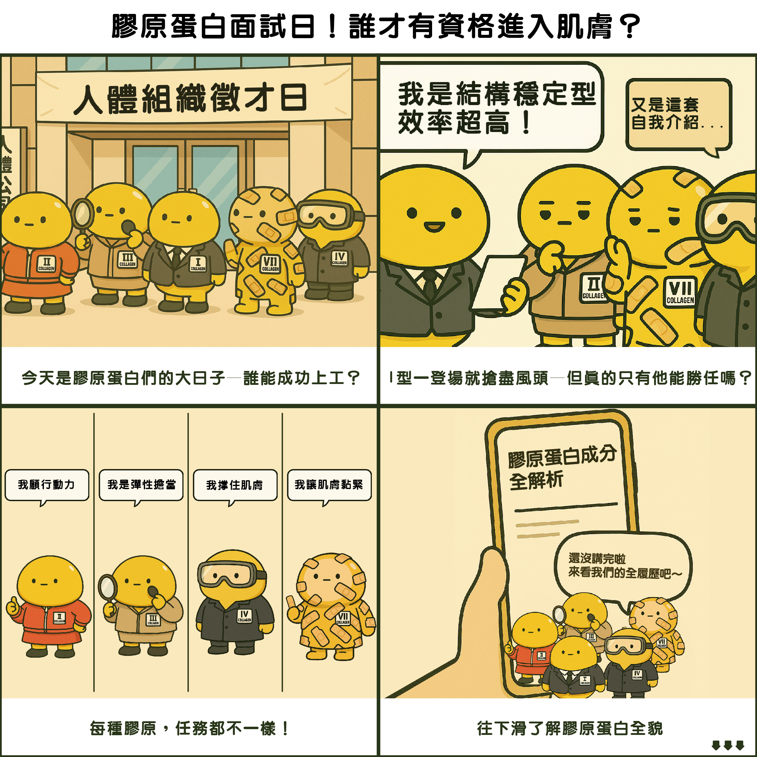膠原蛋白成分遠不止一種，不同型態的膠原蛋白對應的功能皆不相同