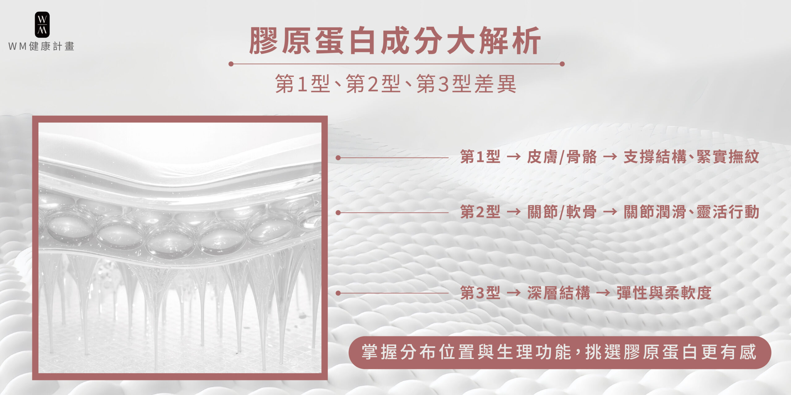 膠原蛋白那麼多種，常見三種劑型大解析