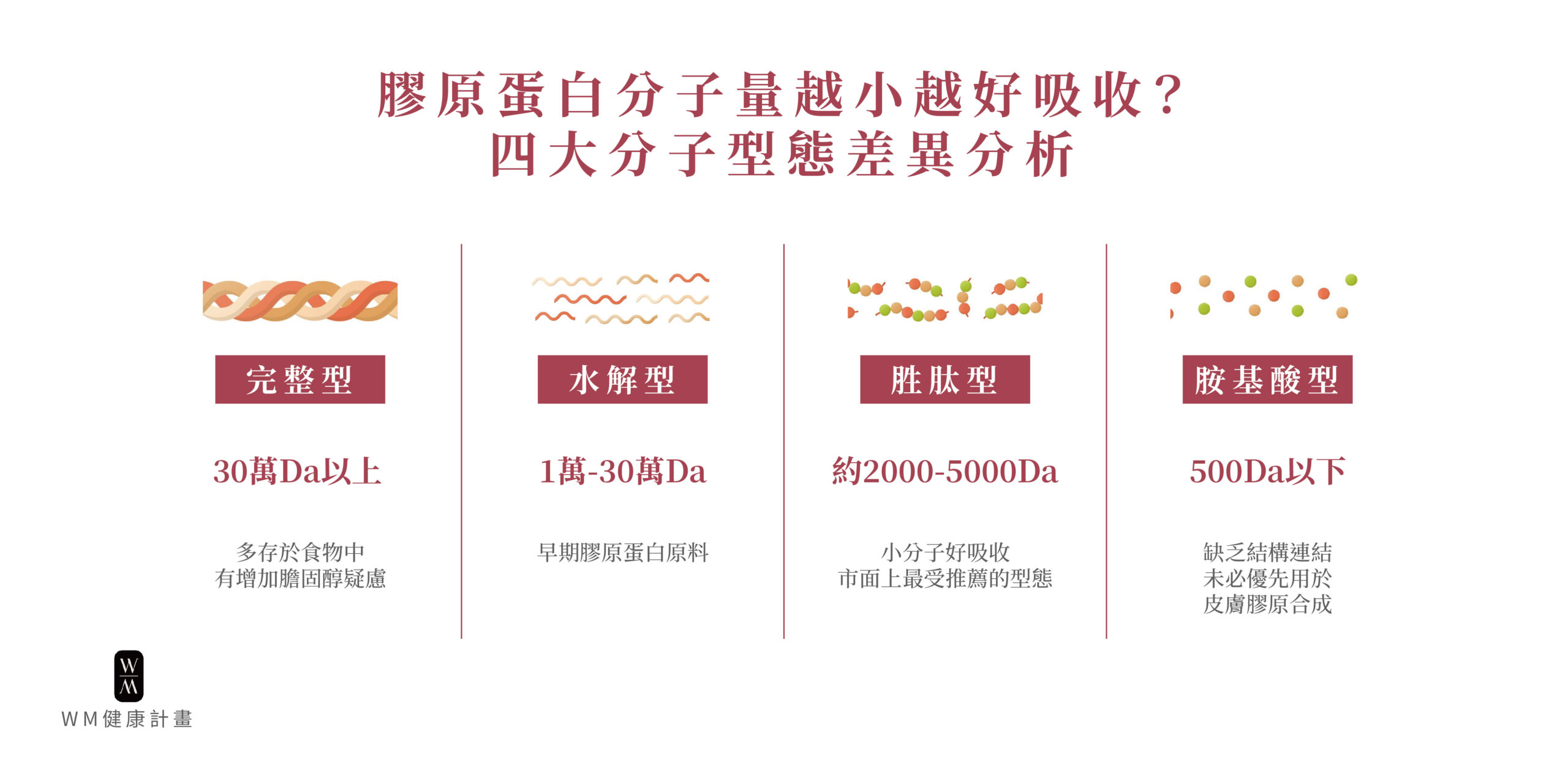 膠原蛋白分子量越小越好吸收?四大分子型態差異分析