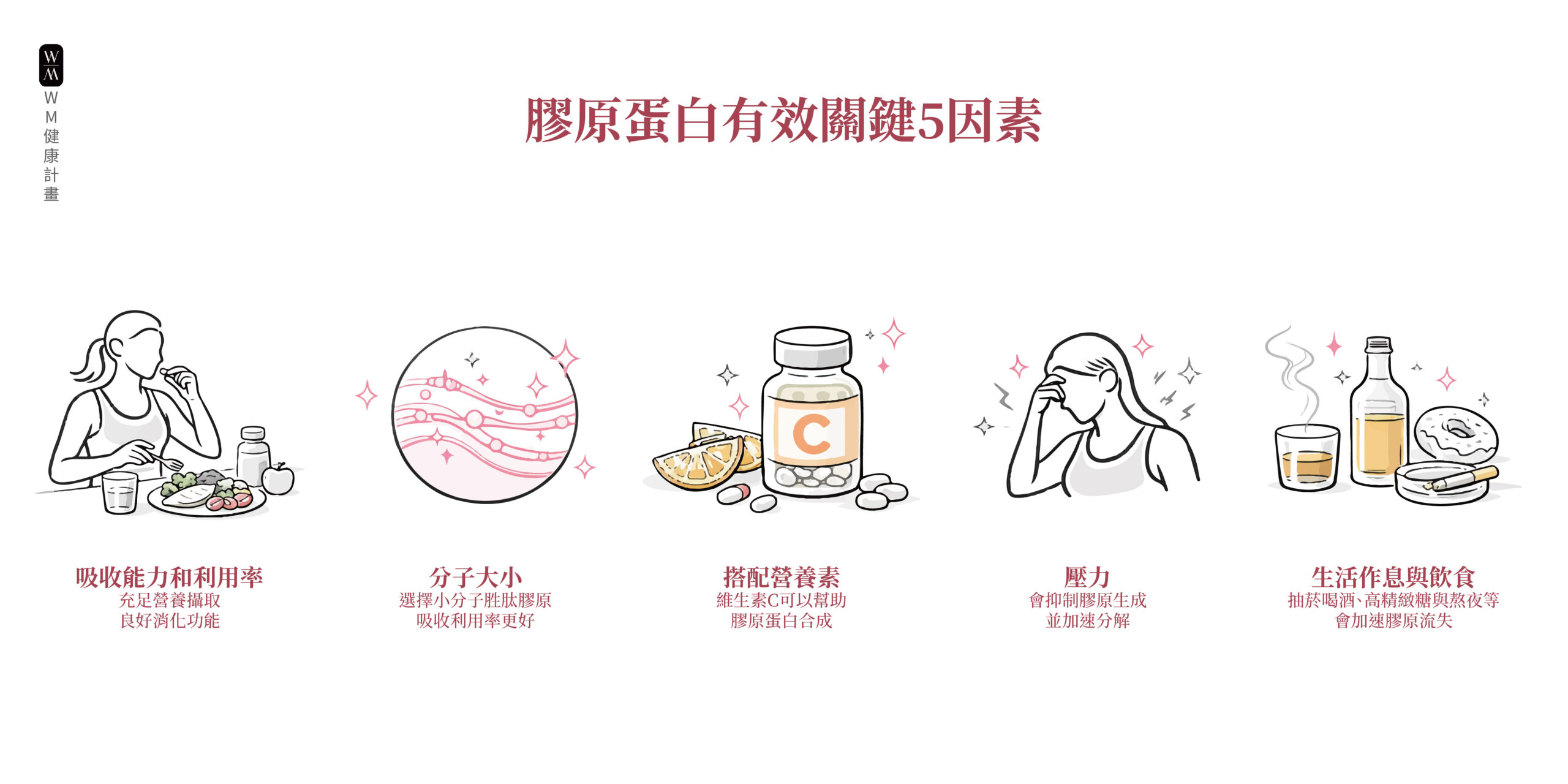 膠原蛋白有效關鍵五因素